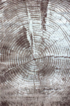 LOTUS HIGH W8578 18379 Турецкие ковры из полиэстера украсят и дополнят ваш интерьер. Легки в уборке. 242х363