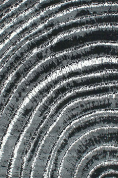 CALIFORNIA 0297 5856 Турецкие ковры из полипропилена высокой плотности украсят и дополнят ваш интерьер. 242х363