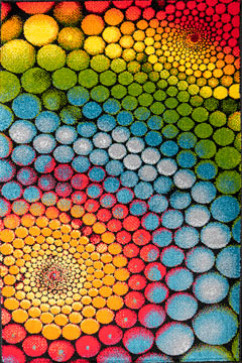 KOLIBRI 11056 18769 Современные ковры на тканой основе, ворс средний - 9 мм, вес 2,2 кг/м2, нить - фризе. В детскую, гостиную и спальню. Сделаны в Украине  242х363