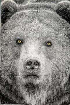 KOLIBRI 11365 19365 Сучасні килими на тканій основі, ворс середній - 9 мм, вага 2,2 кг/м2, нитка - фрiзе. У дитячу, вітальню і спальню. Зроблені в Україні 242х363