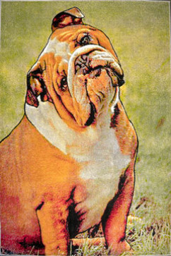 KOLIBRI 11267 19376 Сучасні килими на тканій основі, ворс середній - 9 мм, вага 2,2 кг/м2, нитка - фрiзе. У дитячу, вітальню і спальню. Зроблені в Україні 242х363