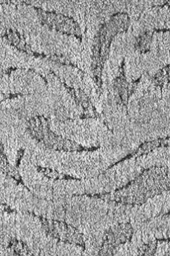 EMILIA 93 10460 Бытовой ковролин, полиамид, ворс - скролл 6 мм, высота 10 мм, основа - войлок. Сделаны в Бельгии 242х363