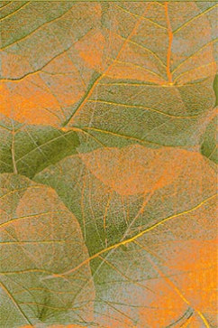 KOLIBRI 11222 18844 KOLIBRI - яркие ковры, тканая основа. Ворс 9 мм, вес 2,2 кг/м2, нить - фризе. Сделаны в Украине 242х363