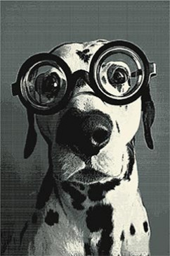 KOLIBRI 11254 19360 Современные ковры на тканой основе, ворс средний - 9 мм, вес 2,2 кг/м2, нить - фризе. В детскую, гостиную и спальню. Сделаны в Украине  242х363