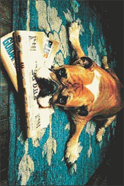 KOLIBRI 11277 19363 KOLIBRI - яскраві килими, ворс 9 мм, вага 2,2 кг / м2, нитка - фрiзe.  Зроблені в Україні 242х363