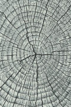 KOLIBRI 11261 19375 Современные ковры на тканой основе, ворс средний - 9 мм, вес 2,2 кг/м2, нить - фризе. В детскую, гостиную и спальню. Сделаны в Украине  242х363