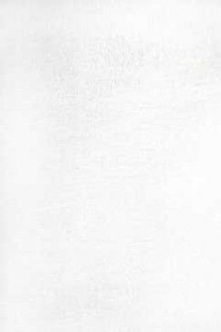 PUFFY-4B P001A 17154 Дуже м'який шовковистий килим з поліестрової нитки з високим ворсом.Пiдiйде в спальню і вітальню. 242х363