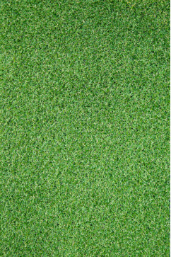 RIVIERA 6909 16148 Ковролин под молодую траву. Используется покрытием в кафе, спортплощадках, террасах. 242х363