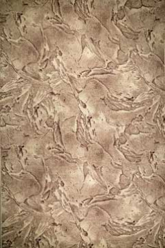 P Р 1254/93 15385 Ковровая дорожка из полиамида на войлочной основе. Удобна в уборке. Подойдет для прихожих и офисов. 242х363