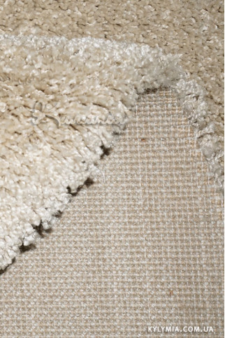 DELICATE beige 20095 Однотонні килими з помірно високим ворсом 20 мм, вага 3,2 кг/м2. У спальню, вітальню і дитячу 322х483