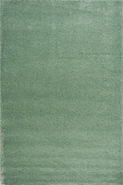 DELICATE light green 20094 Однотонні килими з помірно високим ворсом 20 мм, вага 3,2 кг/м2. У спальню, вітальню і дитячу 242х363