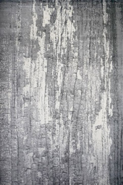 JAZZY 07179A 17956 Килим з поліестеру, в сучасному вінтажному стилі, м'який, шовковистий.  Підійде в будь-яку кімнату. 242х363