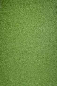 COCOON 6957 20955  242х363