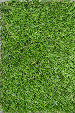 WANDERLUST 6957 20957  242х363