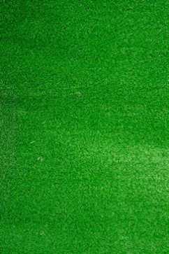 TR-1P-10 1p 21098 Искусственная трава TR-1P-10 - ворс 10 мм, вес 1,1 кг/м2 сделано в Беларуси 242х363