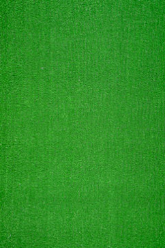 TR-1P-5 1p 21105 Искусственная трава TR-1P-5 - ворс 5 мм, вес 1,1 кг/м2 сделано в Беларуси 242х363