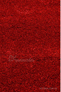 Килим ASTORIA PC00A red-red