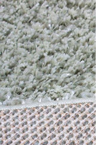 ASTORIA PC00A green 20801 Дуже м'який шовковистий килим з поліестрової нитки з високим ворсом.Пiдiйде в спальню і вітальню. 322х483