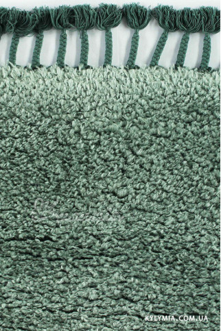 ETHOS PC00A 20802 Дуже м'який шовковистий килим з поліестрової нитки з високим ворсом.Пiдiйде в спальню і вітальню. 322х483