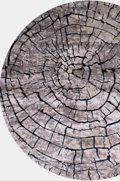 SOFIA 7844B 15503 Ковры из полипропилена с полиэстровой ниткой в современном винтажном стиле вольются в любой интерьер 242х363