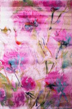 AMORE 9458A 16211  242х363