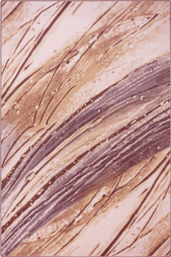 ALABASTER ALTE W 17005 Ковер из шерсти польского производства в современном стиле подойдет в любую комнату. 242х363