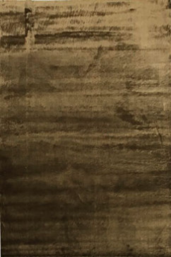 MADISON brown-brown 21306 Универсальные коврики на латексной основе. Удобны в использовании на кухне, прихожих и ванной. 242х363