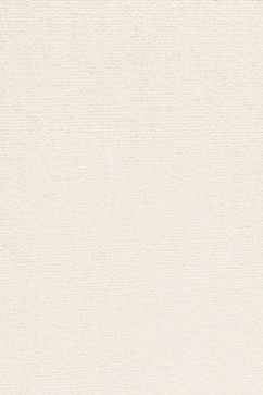 ALTONA 33 20503 Коммерческий ковролин для офиса. Полиамид, ворс 5 мм, высота 9 мм, вес 1,7 кг/м2, износостойкость 32 класс. Сделан в Бельгии 242х363