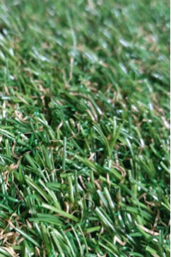 NATURA 25 21 20523  242х363