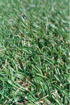 NATURA 16 21 20524  242х363