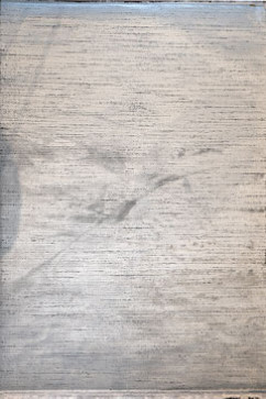 IKON IK09C 22826 Дуже м'які килими Pierre Cardin (за ліцензією). Ворс - акрил і евкаліптовий шовк, бавовняна основа 242х363