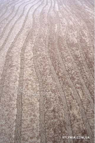 SOFIA 41025 22415 Очень мягкие ковры благодаря полиэстеру. Ворс 11 мм, вес 2,45 кг/м2. Подойдут на пол в спальни и гостиные. Сделаны в Украине 322х483