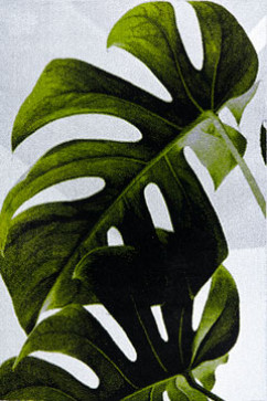 KOLIBRI 11290 21617 Современные ковры на тканой основе, ворс средний - 9 мм, вес 2,2 кг/м2, нить - фризе. В детскую, гостиную и спальню. Сделаны в Украине  242х363