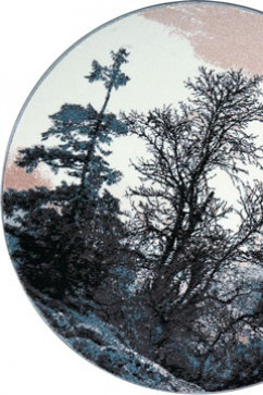 DREAM 18198 22454 Современные ковры на тканой основе, ворс средний - 9 мм, вес 2,2 кг/м2, нить - фризе. В детскую, гостиную и спальню. Сделаны в Украине  242х363