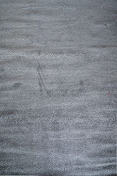 CAMINO 00000A 23618  242х363