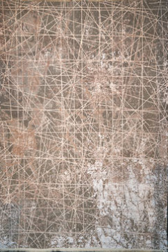 NERO NO10D 22981 Дуже м'які килими Pierre Cardin (за ліцензією). Ворс - акрил і евкаліптовий шовк, бавовняна основа 242х363