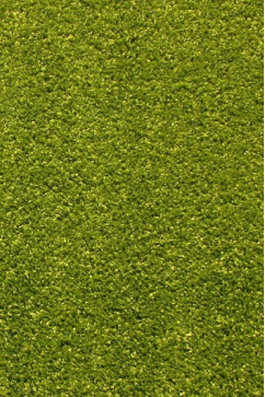 KOLIBRI 11000 24683 Сучасні килими на тканій основі, ворс середній - 9 мм, вага 2,2 кг/м2, нитка - фрiзе. У дитячу, вітальню і спальню. Зроблені в Україні 242х363