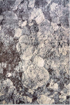 DREAM 18144 20856 Сучасні килими на тканій основі, ворс середній - 9 мм, вага 2,2 кг/м2, нитка - фрiзе. У дитячу, вітальню і спальню. Зроблені в Україні 242х363