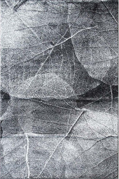 DREAM 18149 23440 Современные ковры на тканой основе, ворс средний - 9 мм, вес 2,2 кг/м2, нить - фризе. В детскую, гостиную и спальню. Сделаны в Украине  242х363