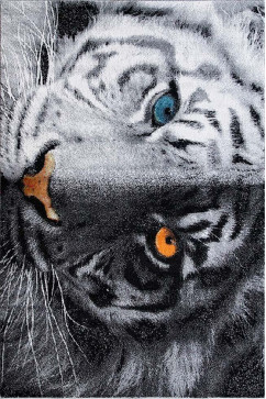 KOLIBRI 11183 24682 Современные ковры на тканой основе, ворс средний - 9 мм, вес 2,2 кг/м2, нить - фризе. В детскую, гостиную и спальню. Сделаны в Украине  242х363