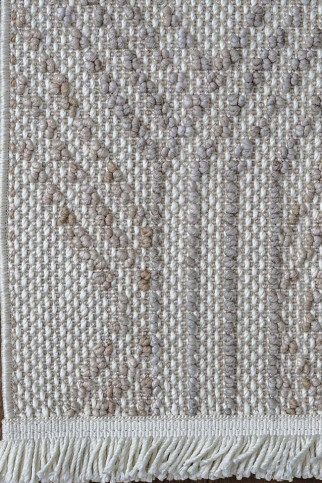 AGRA EK91A 24817 Безворсовий килим з поліестеру у скандинавському стилі. Петлевий об'ємний малюнок. Приємний на дотик і легкий у прибиранні. 322х483
