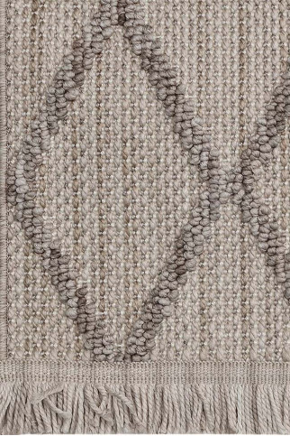 AGRA ER21B 24868 Безворсовий килим з поліестеру у скандинавському стилі. Петлевий об'ємний малюнок. Приємний на дотик і легкий у прибиранні. 322х483