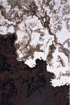 CRYSTAL 9932A 15489 Турецкие ковры из полипропилена высокой плотности украсят и дополнят ваш интерьер. 242х363