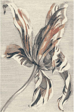 ANNY 33034 25217  242х363