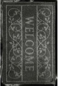 Килимок WELCOME 1A 13