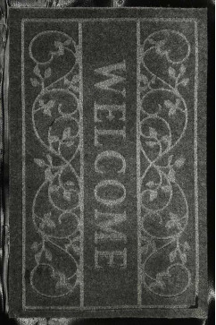 WELCOME 1A 25136  242х363