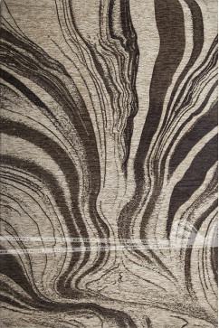 NOA D728 1003 Тонкі килими з полівіскози - імітація шовку, надають вишуканість і розкіш. 242х363