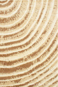 CALIFORNIA 0297 5855 Турецкие ковры из полипропилена высокой плотности украсят и дополнят ваш интерьер. 242х363