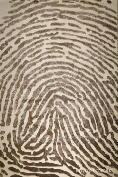 VALS W2227 15925 Акриловые ковры премиум класса с легким рельефом.Тонкие, мягкие. Подойдут к современному интерьеру. 242х363