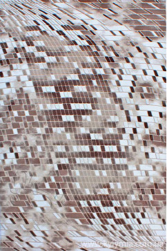 VALS W8375 18023 Акрилові килими преміум класу з легким рельефом.Тонкі, м'які. Підійдуть до сучасного інтер'єру. 242х363